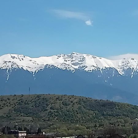 Le Nid D'Adam Apartamento Zărneşti Exterior foto