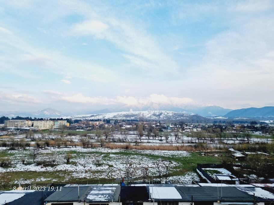 Le Nid D'Adam Apartamento Zărneşti Exterior foto
