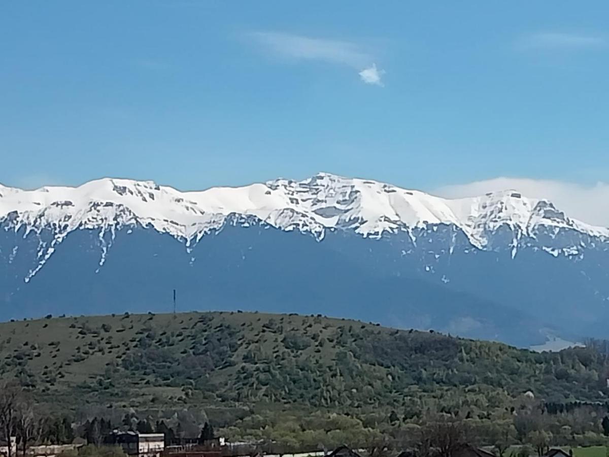 Le Nid D'Adam Apartamento Zărneşti Exterior foto
